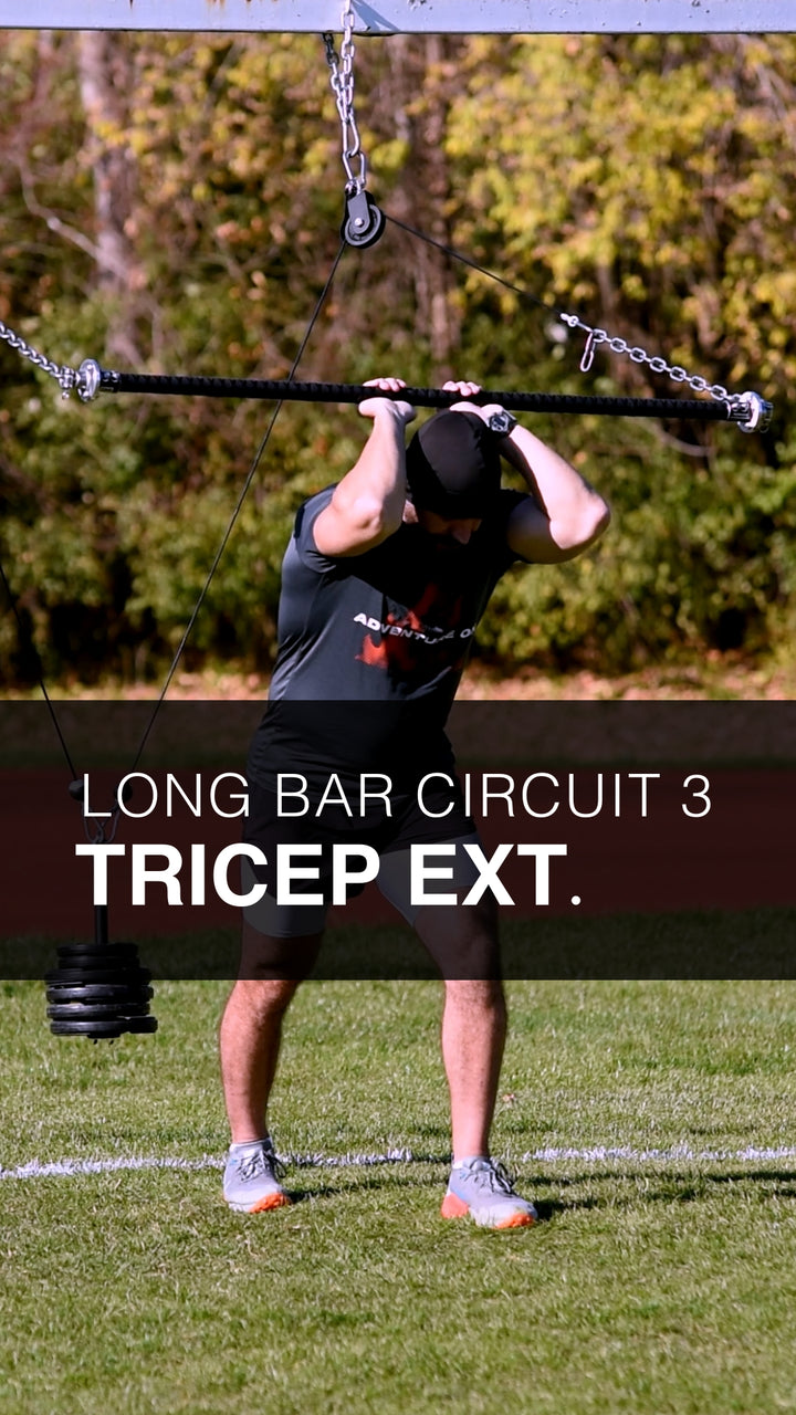 Circuit 3: Tricep Extension